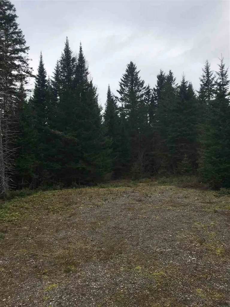 - Arthur Scott Road Pittsburg NH 03592