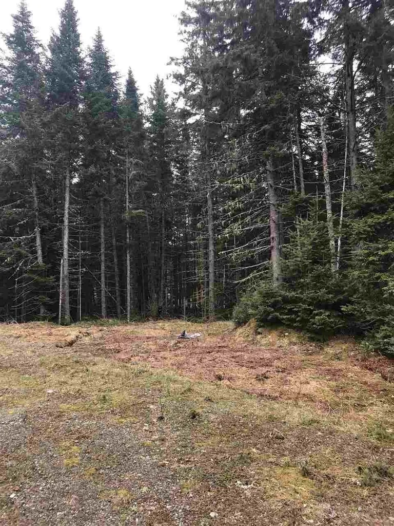 - Arthur Scott Road Pittsburg NH 03592