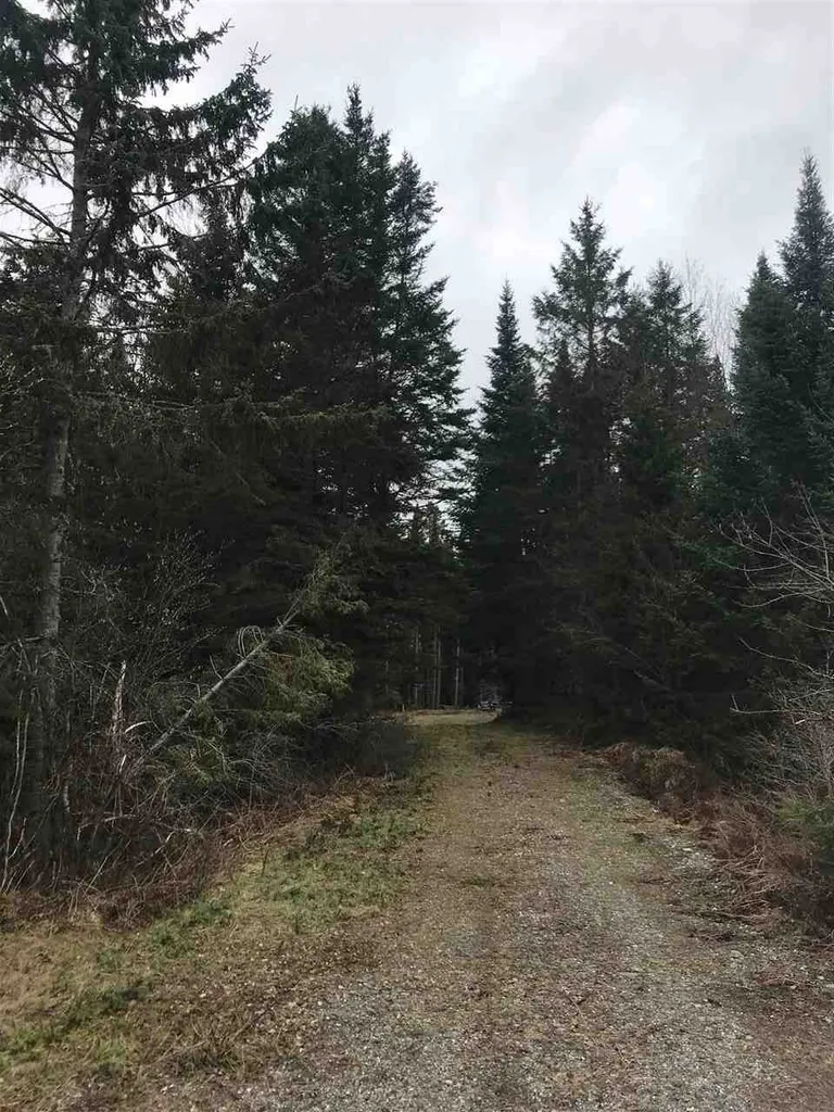 - Arthur Scott Road Pittsburg NH 03592