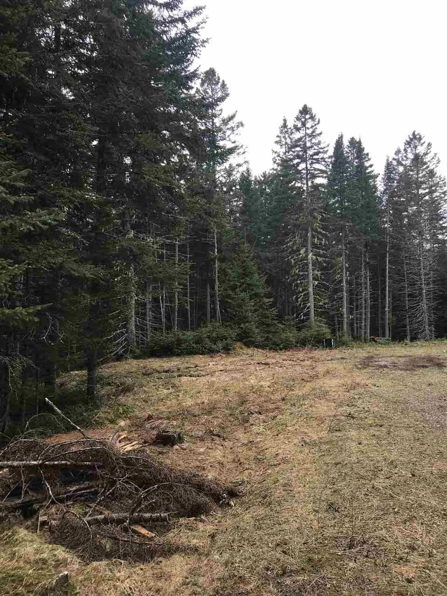 - Arthur Scott Road Pittsburg NH 03592