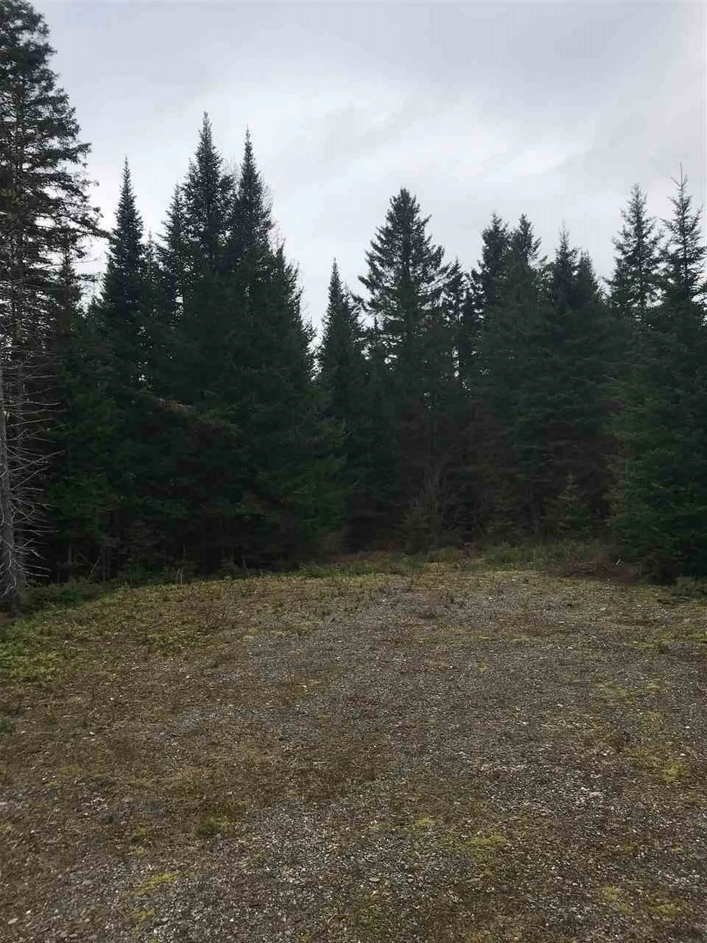 - Arthur Scott Road Pittsburg NH 03592