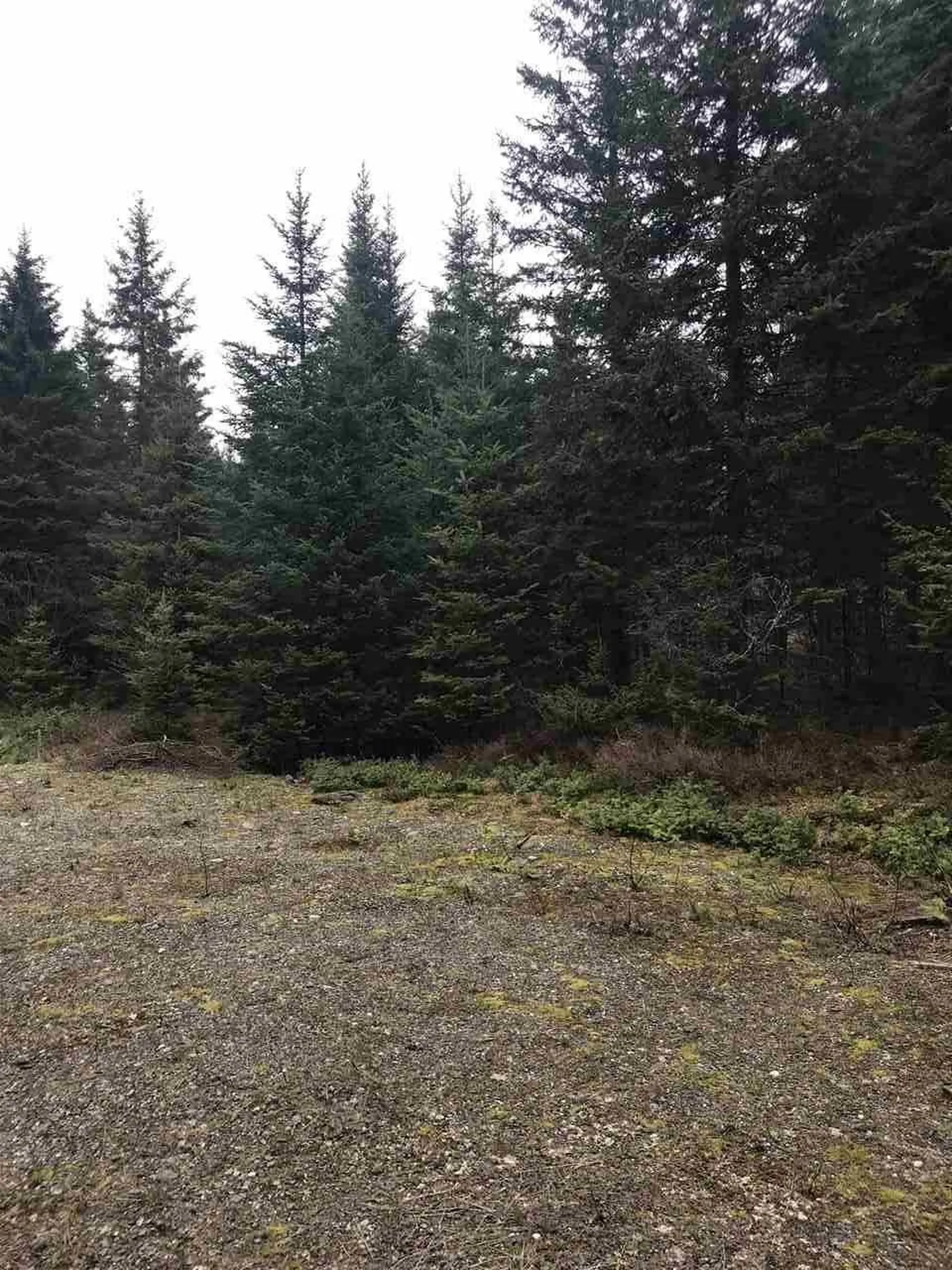 - Arthur Scott Road Pittsburg NH 03592