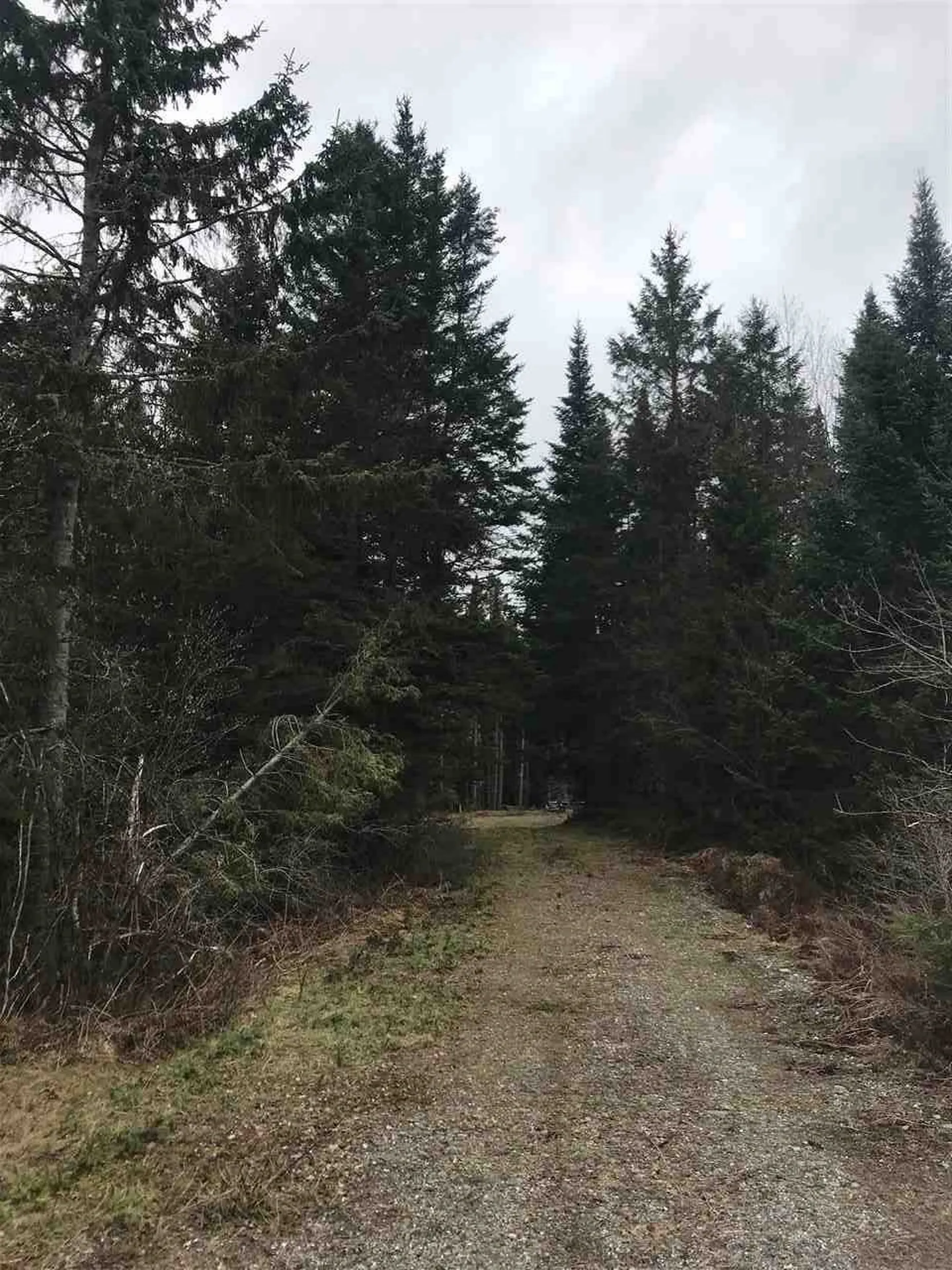 - Arthur Scott Road Pittsburg NH 03592
