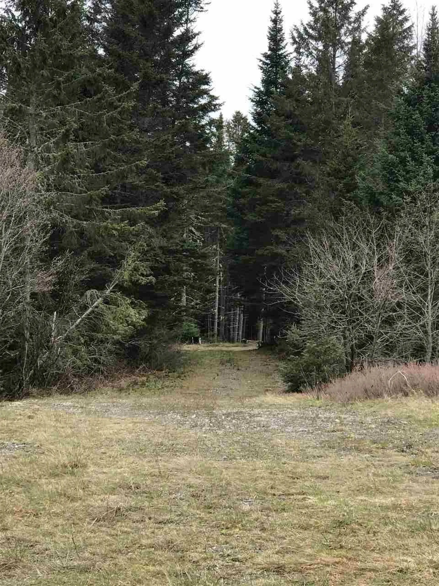 - Arthur Scott Road Pittsburg NH 03592