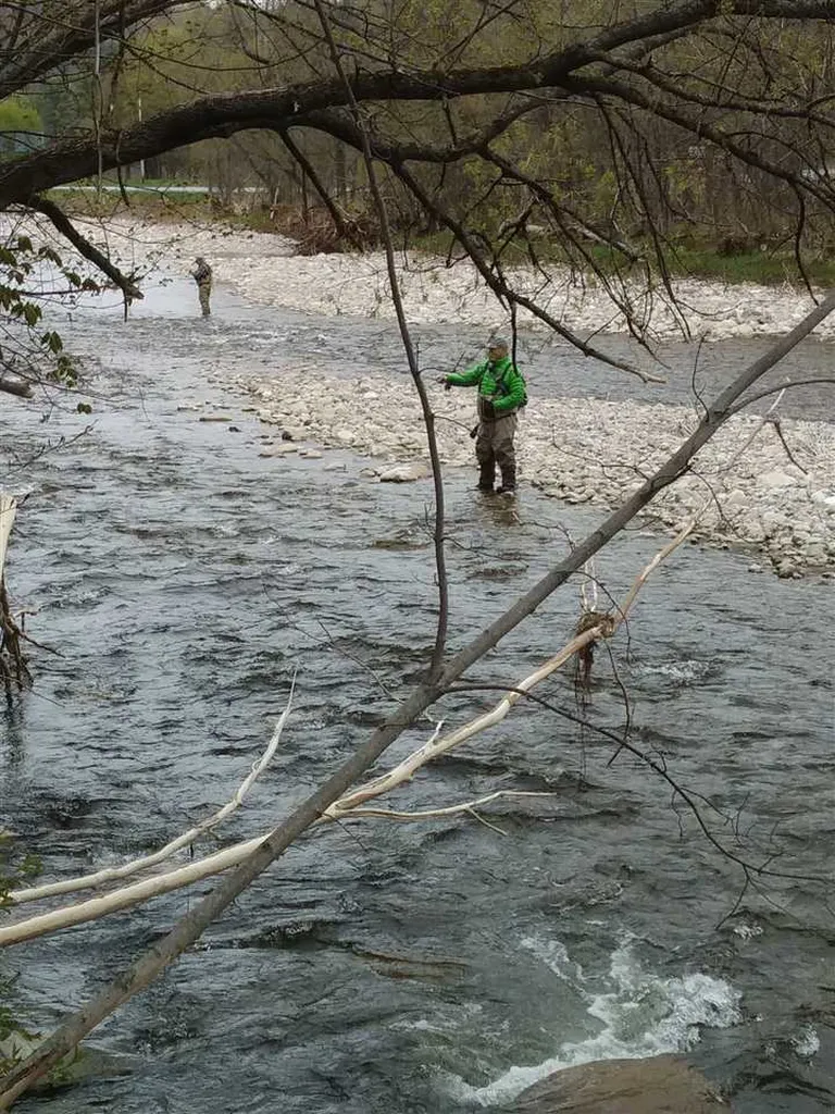 24 Spring Lake Road Shrewsbury VT 05738