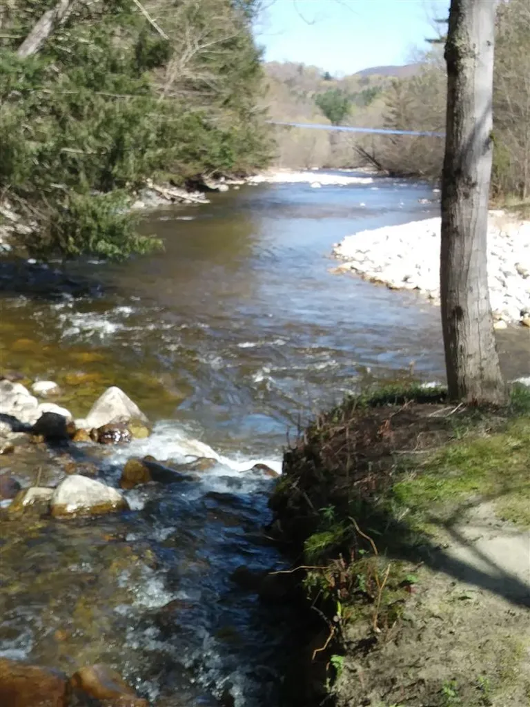 24 Spring Lake Road Shrewsbury VT 05738