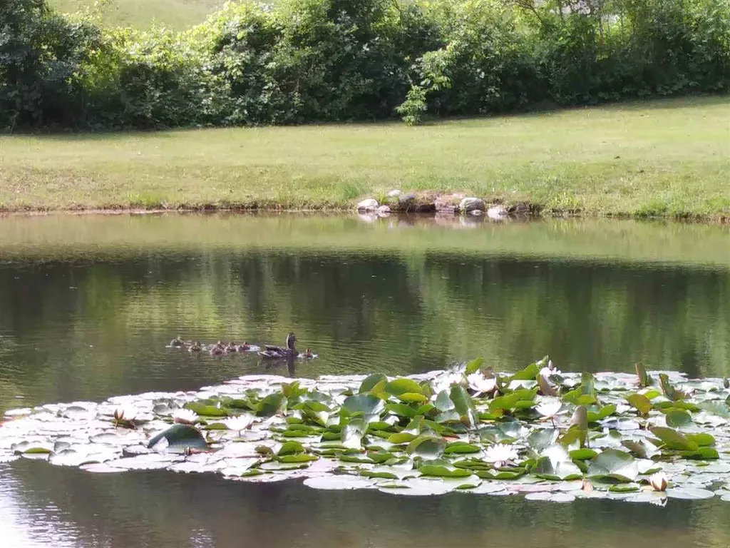 24 Spring Lake Road Shrewsbury VT 05738