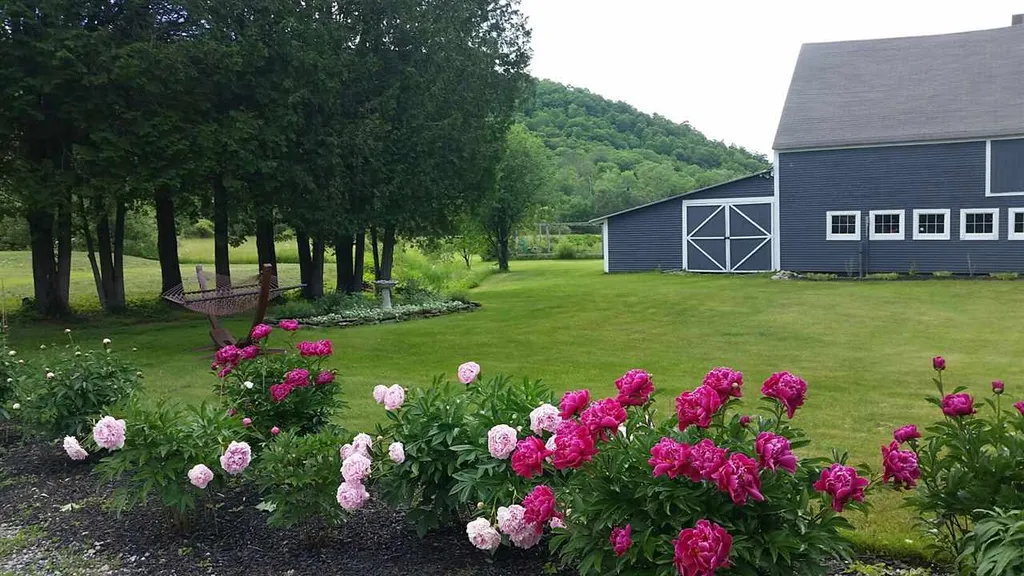 24 Spring Lake Road Shrewsbury VT 05738