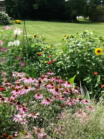 61 Carriage Way Colchester VT 05446