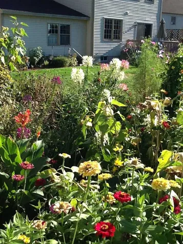 61 Carriage Way Colchester VT 05446
