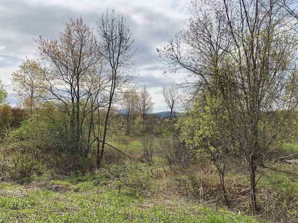 Lot B Butler Street Fairfax VT 05454