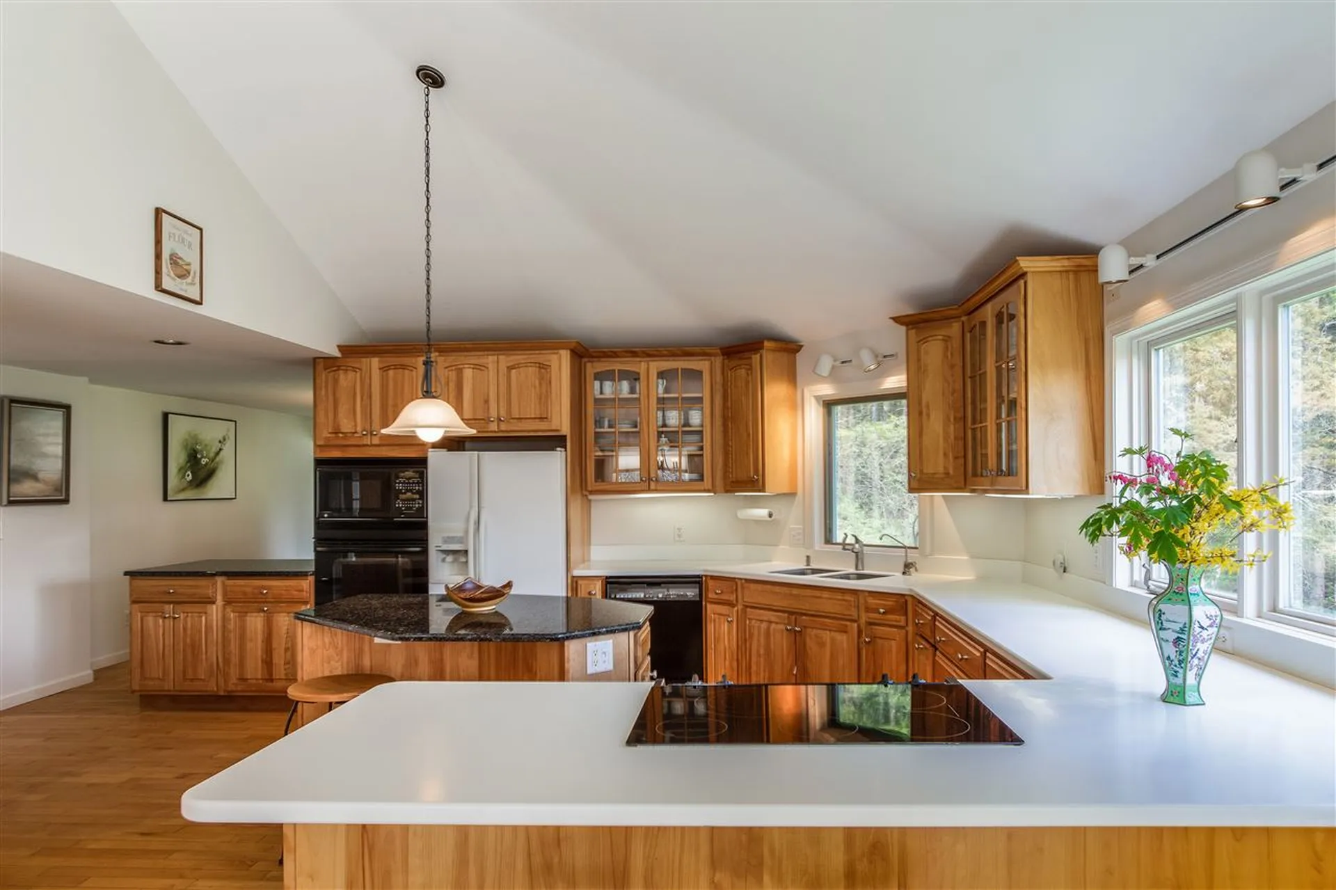 62 Vista Drive Shelburne VT 05482