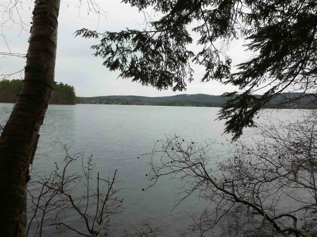 Map 35 - Lot 1 Northwood Town Line Strafford NH 03884