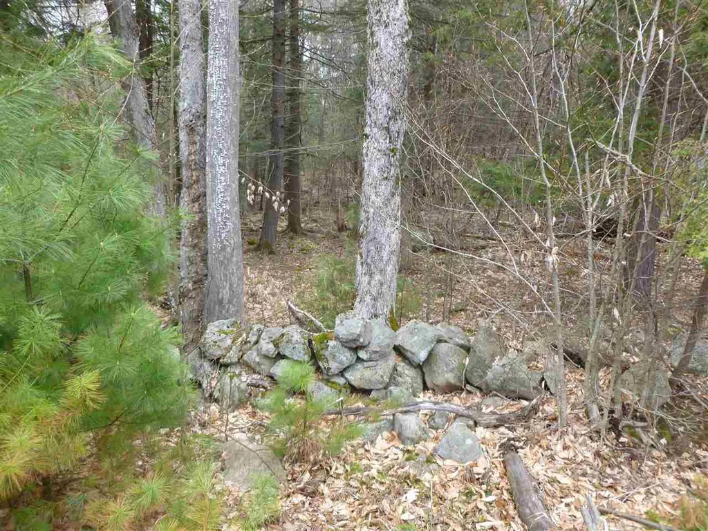 Map 35 - Lot 1 Northwood Town Line Strafford NH 03884