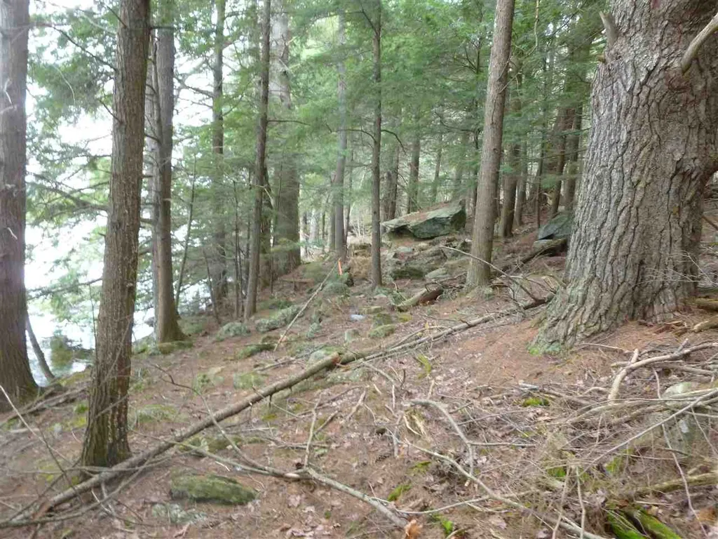 Map 35 - Lot 1 Northwood Town Line Strafford NH 03884