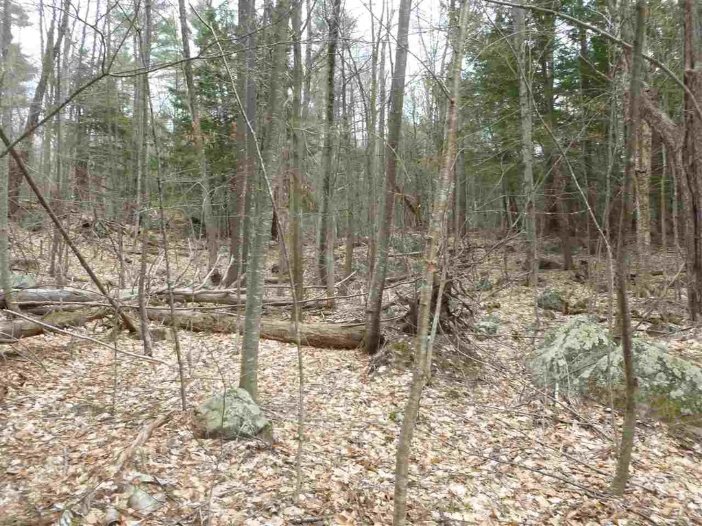 Map 35 - Lot 1 Northwood Town Line Strafford NH 03884