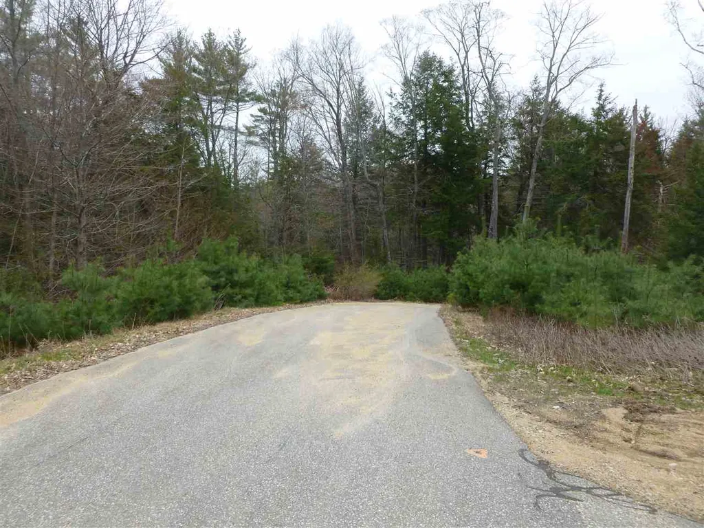 Map 35 - Lot 1 Northwood Town Line Strafford NH 03884