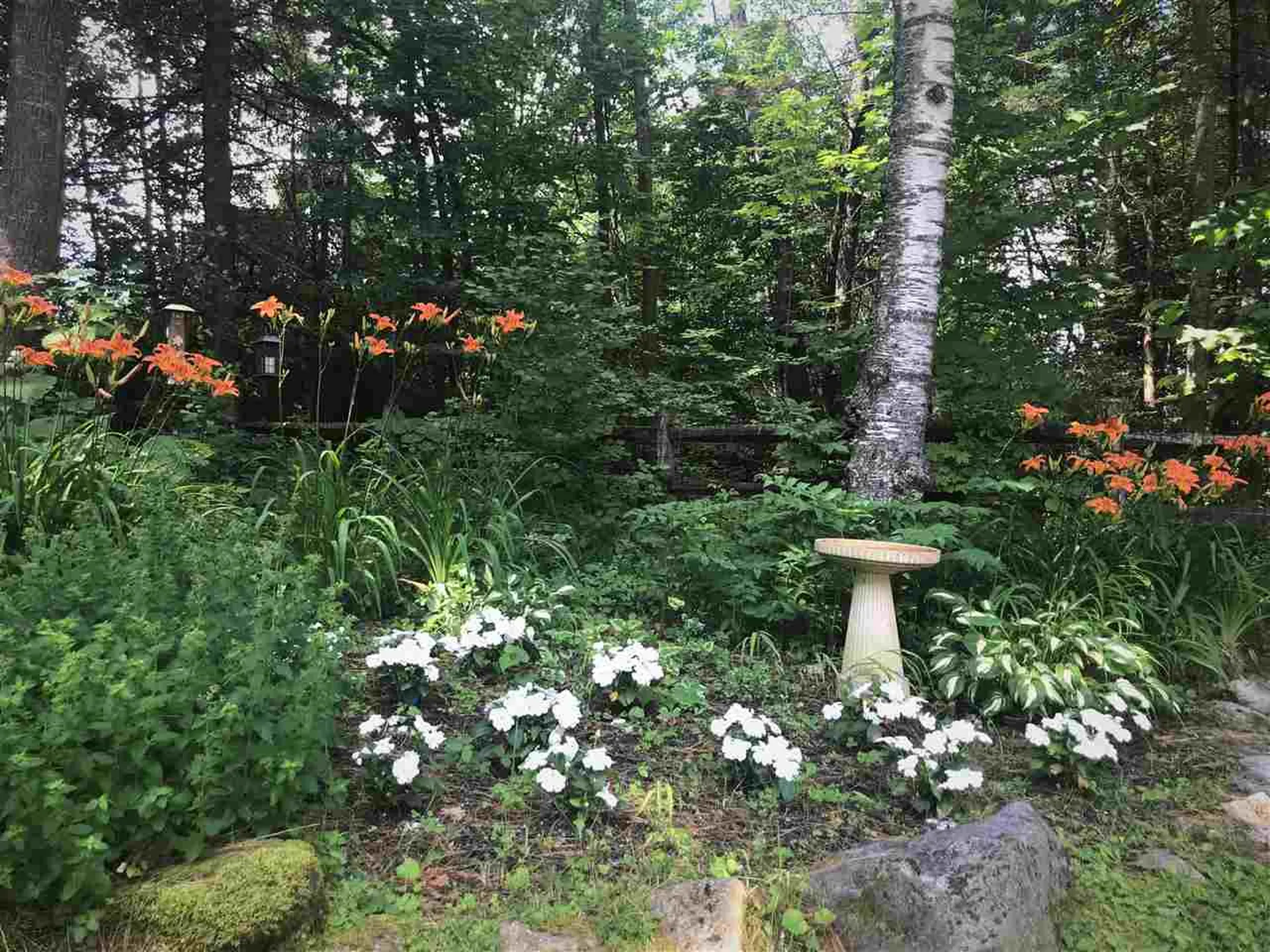 195 Jones Hill Road Enfield NH 03748