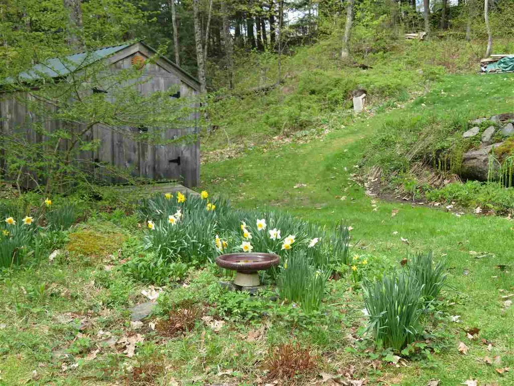361 Wright Orchard Road Grafton VT 05146