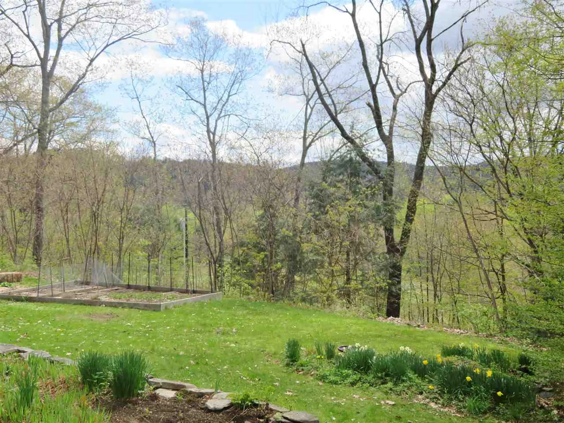 361 Wright Orchard Road Grafton VT 05146