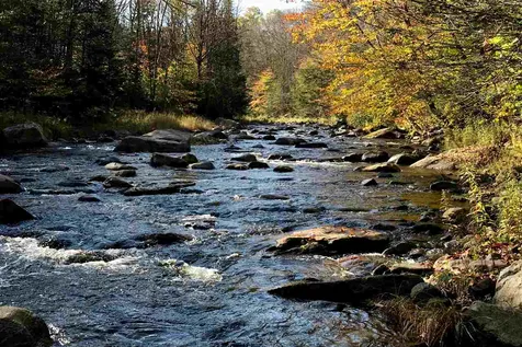 1843 Vt Route 155 Mount Holly VT 05758