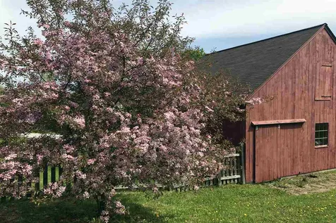 1843 Vt Route 155 Mount Holly VT 05758