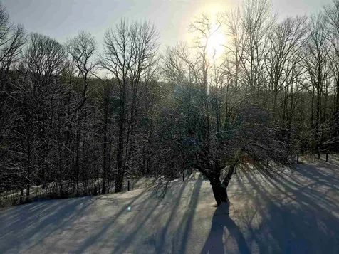 1843 Vt Route 155 Mount Holly VT 05758