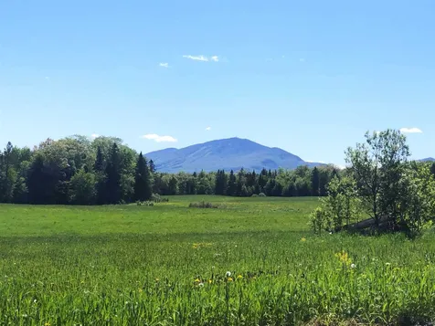 1079 South Ridge Road Sutton VT 05867