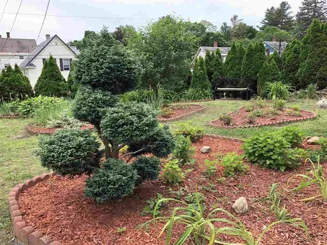 37 Forest Street Claremont NH 03743