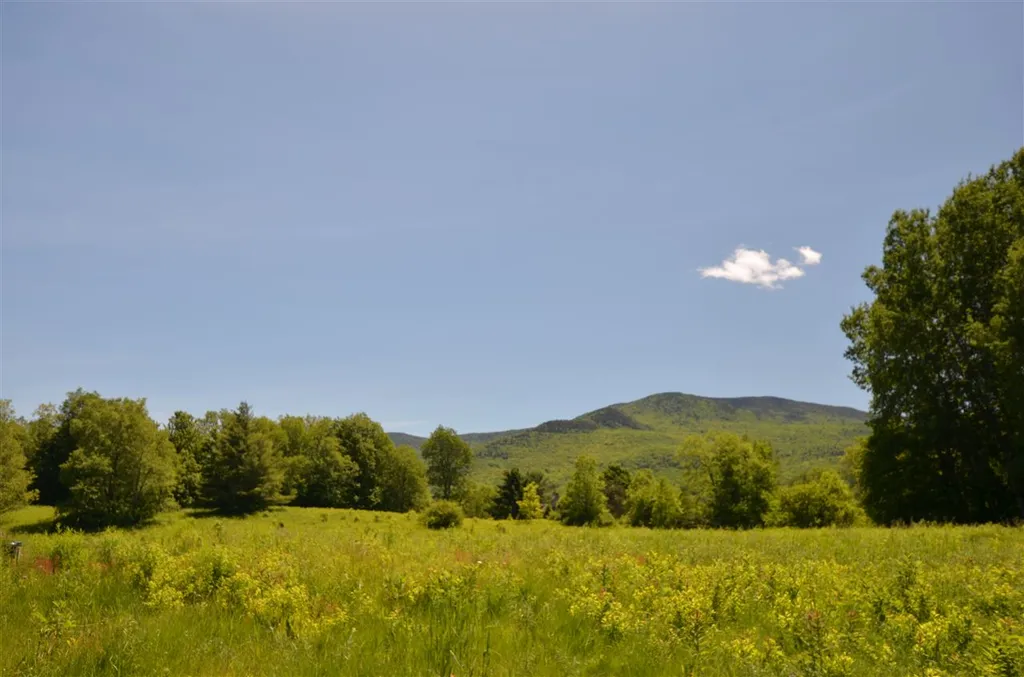 295 Covered Bridge Road Stowe VT 05672