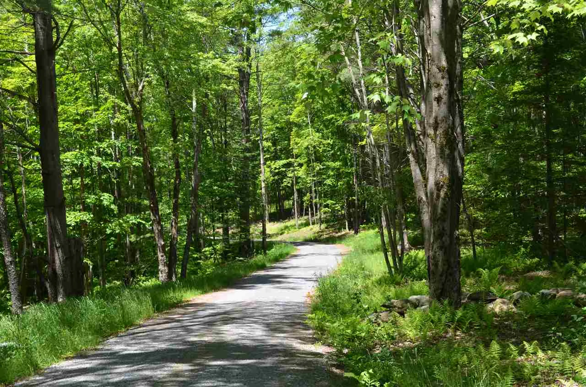 295 Covered Bridge Road Stowe VT 05672