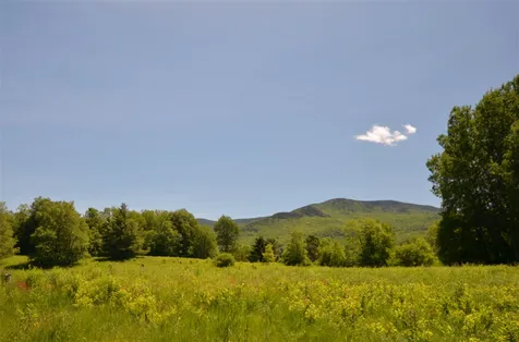 295 Covered Bridge Road Stowe VT 05672