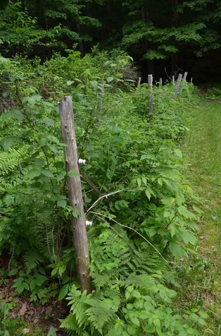 867 Route 100 North Ludlow VT 05149