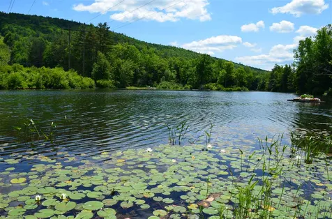 867 Route 100 North Ludlow VT 05149