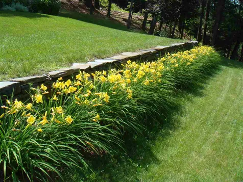489 Willard Road Hartford VT 05059
