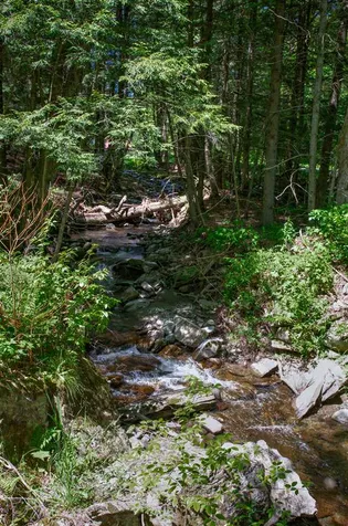1675 Sawnee Bean Road Thetford VT 05075