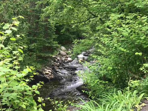 83 Kirby Road Burke VT 05832