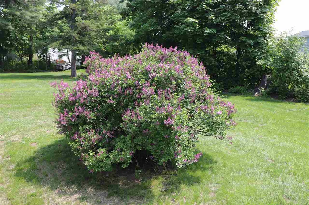 2 Hale Street Rochester NH 03867