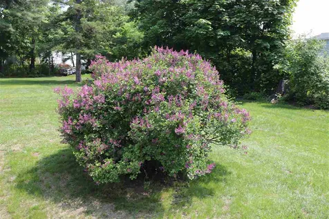 2 Hale Street Rochester NH 03867
