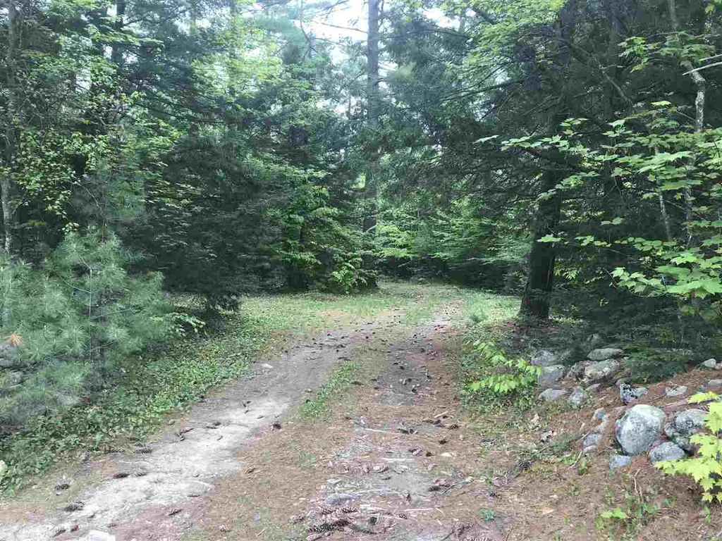 0 Hannah Road Sandwich NH 03227