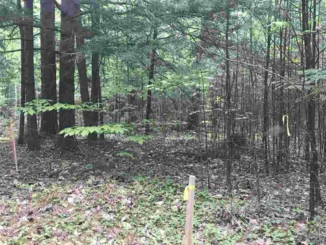 0 Hannah Road Sandwich NH 03227