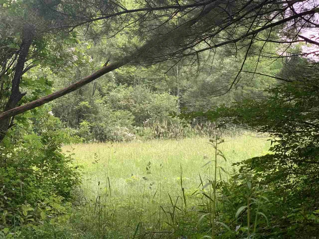 19 Flagg Road Hollis NH 03049