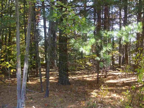 0 Berry River Road Barrington NH 03825