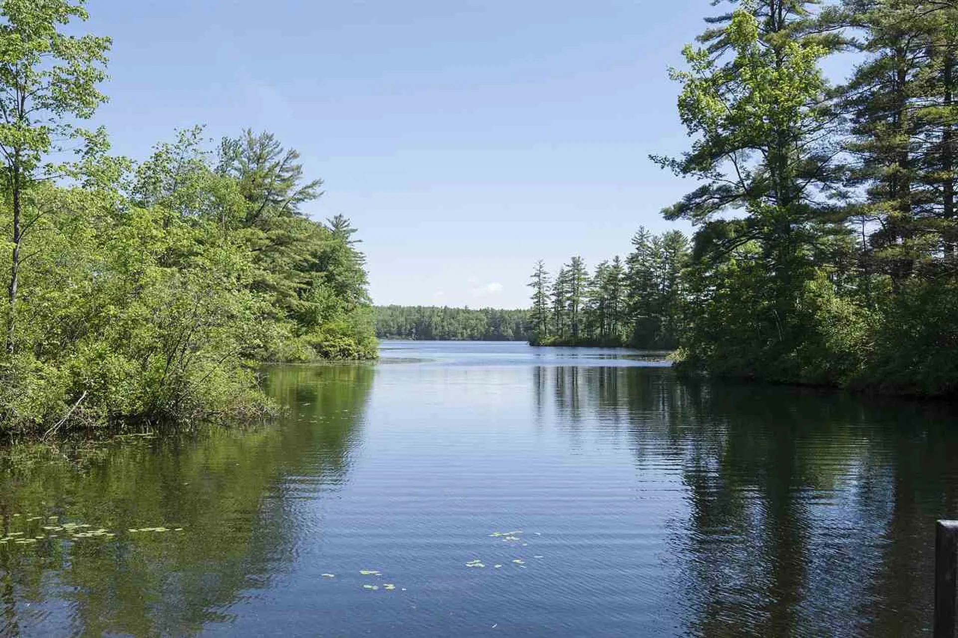101 Hawkins Pond Road Center Harbor NH 03226