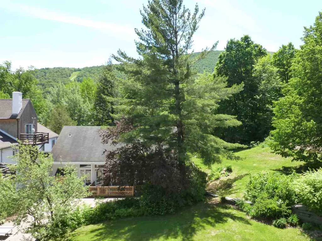 205 Mountainside Drive Warren VT 05674
