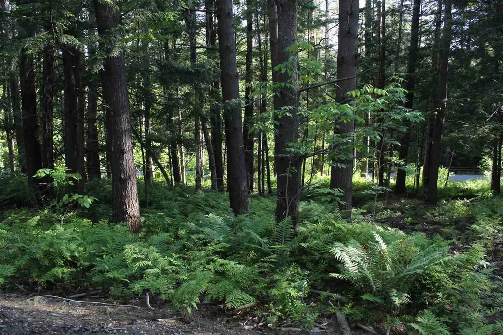 00 Barberry Hill Road Woodstock VT 05091