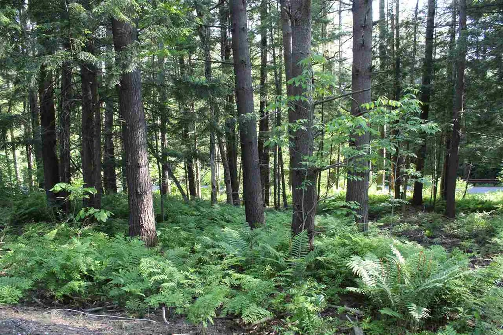 00 Barberry Hill Road Woodstock VT 05091