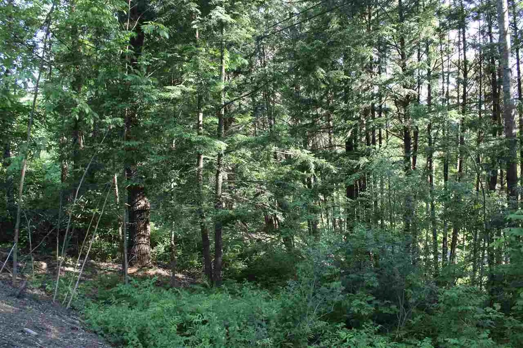 00 Barberry Hill Road Woodstock VT 05091