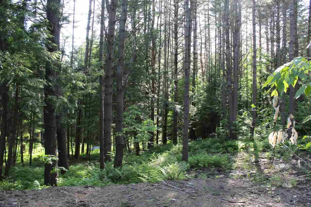 00 Barberry Hill Road Woodstock VT 05091