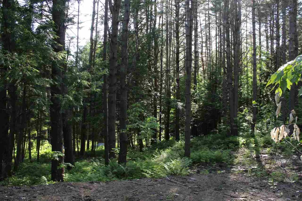 00 Barberry Hill Road Woodstock VT 05091